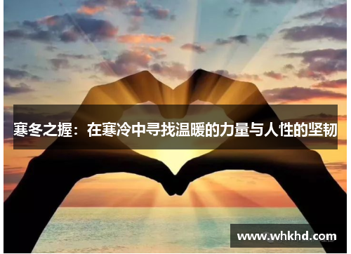 寒冬之握：在寒冷中寻找温暖的力量与人性的坚韧