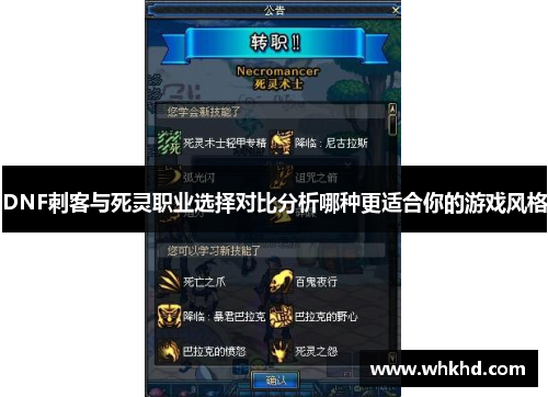 DNF刺客与死灵职业选择对比分析哪种更适合你的游戏风格