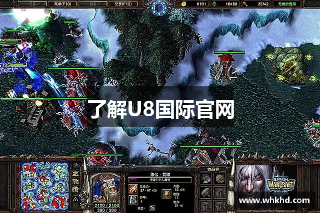 了解U8国际官网